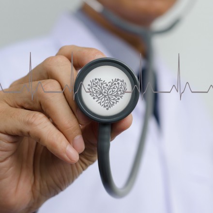 שחל ekg פענוח